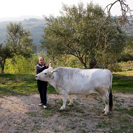 Tourist Farm Robivera Smarje  Ngoại thất bức ảnh